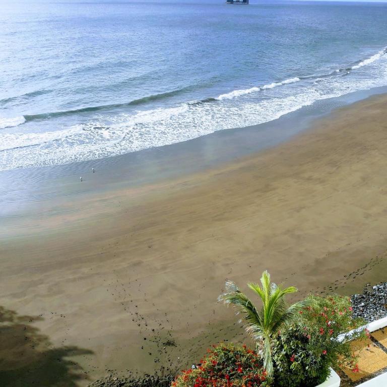 Apartamentos playa chica / playa las gaviotas - Apartamento - 50