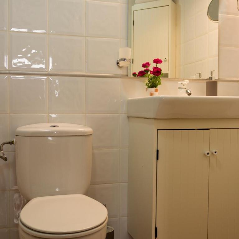 Felisa Center - Apartamento - 12