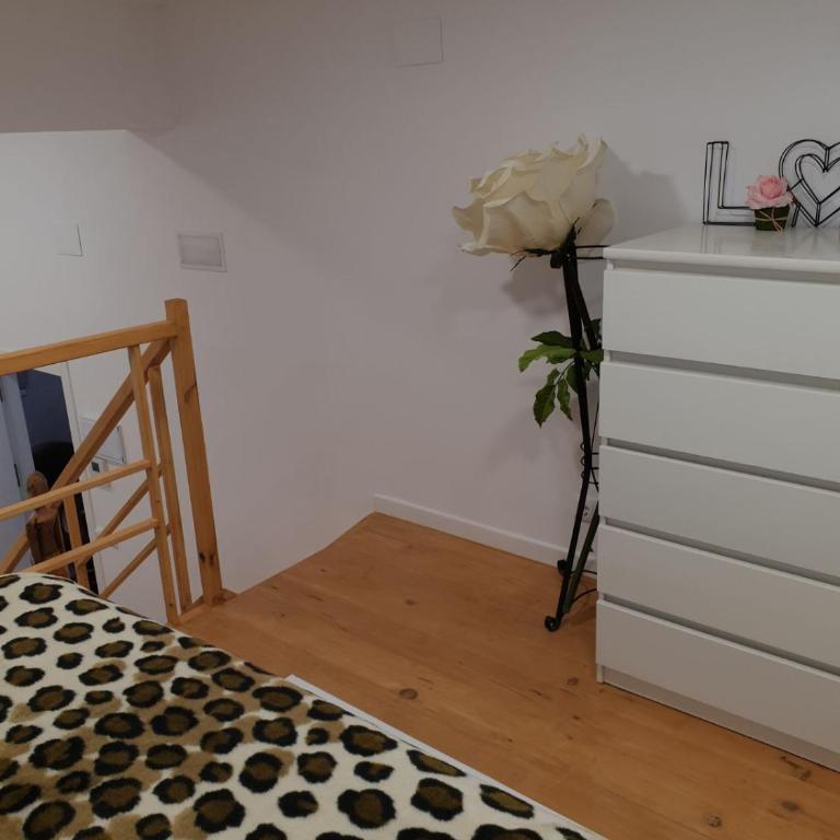 Beautiful and nice Loft - Alicante - Apartment - 30