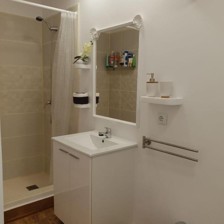 Beautiful and nice Loft - Alicante - Apartment - 40