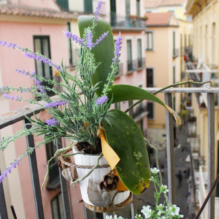 B&B Katerine - Monolocale Deluxe - 11