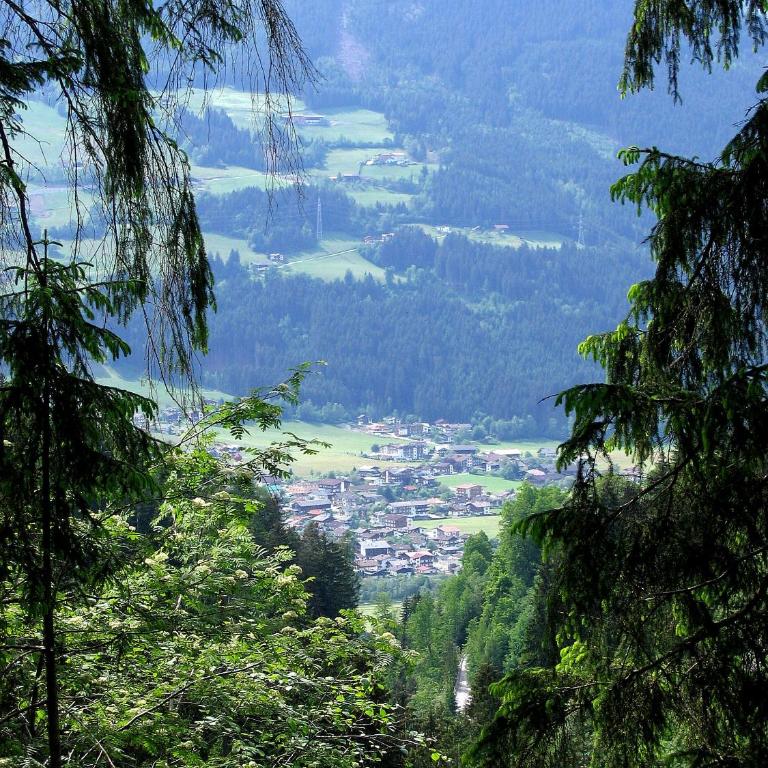 Apart Tyrol - Three-Bedroom Apartment with Balcony - 28