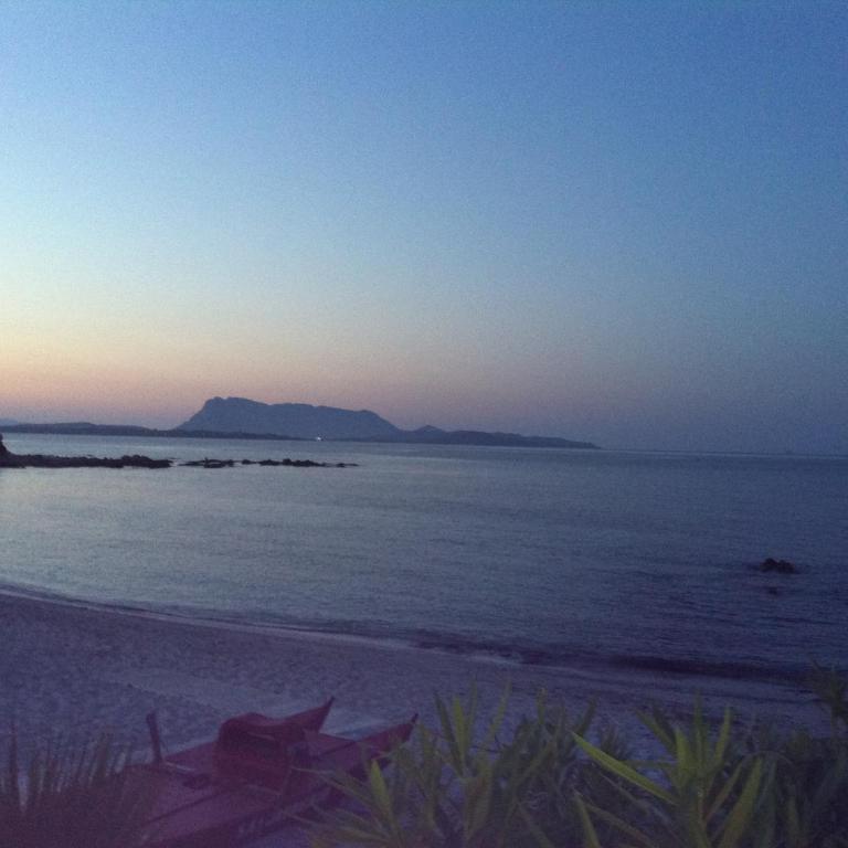 Appartamento via Alghero - Appartamento - 23