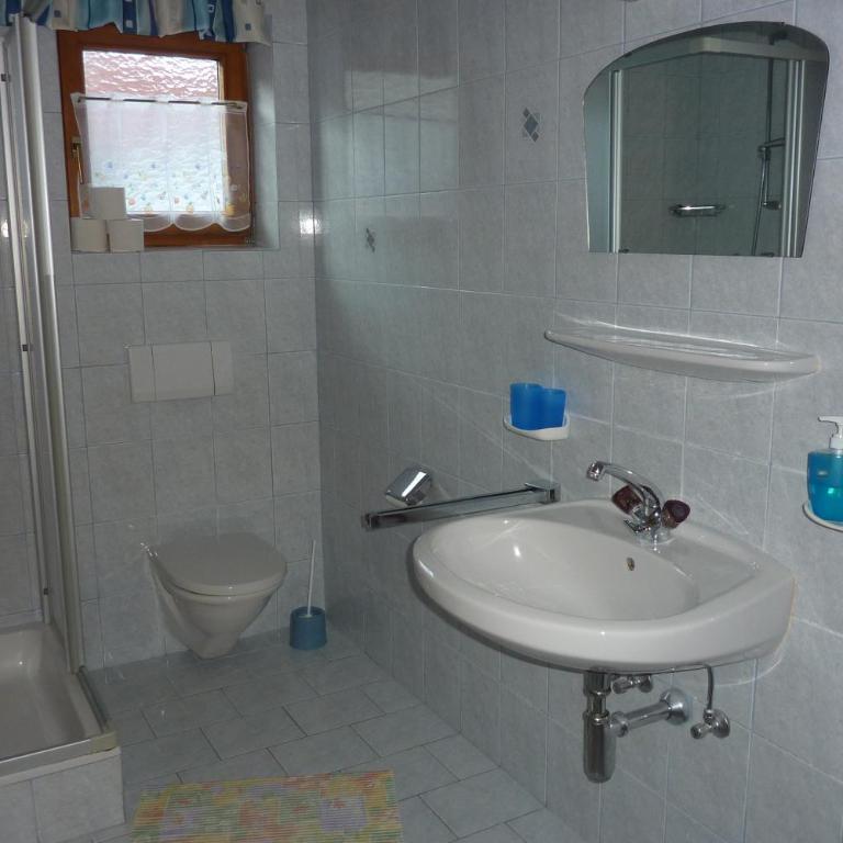 Haus Moosanger - Wildschönau Premium Card inklusive! - Apartment mit 1 Schlafzimmer und Balkon - 4