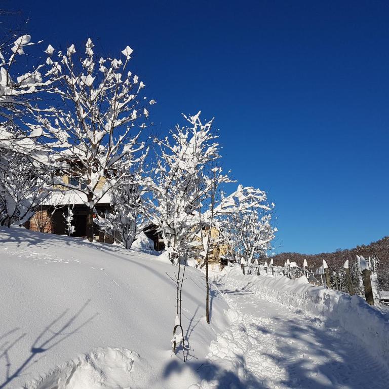 Casa Vacanze Le Primule - Ferienhaus - 14