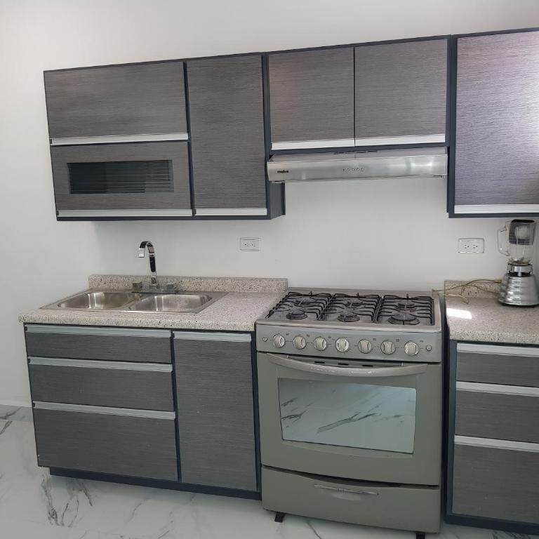 Contry La Silla Apartments zona tec - Nuevo Sur - Apartment with Terrace - 14