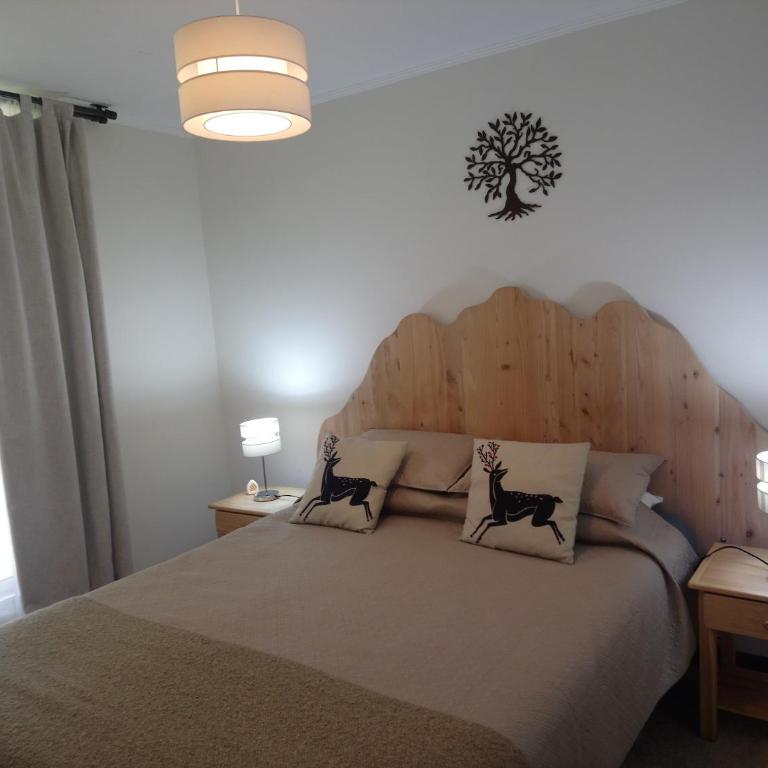Departamento en Pucon - Apartamento - 4