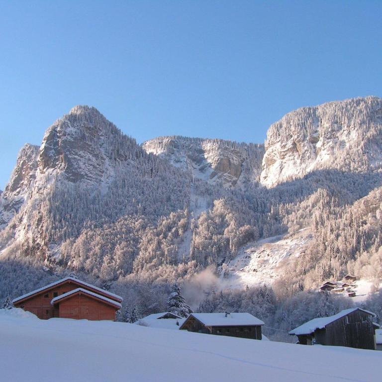 Chalet des Cascades - Appartement - 16
