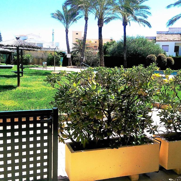 Golden Beach II - Apartamento - 11
