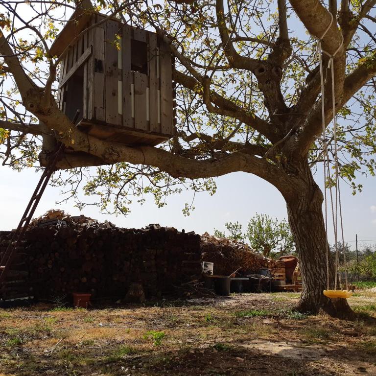 Trullo della Rosa - Casa Vacanze - 44