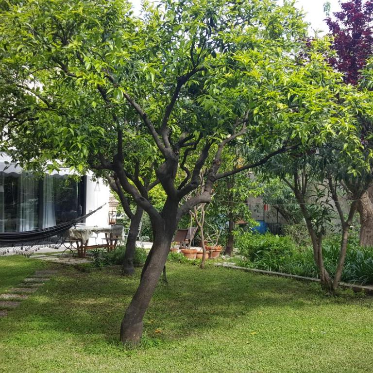 Nel Giardino degli Agrumi - Monolocale - 17