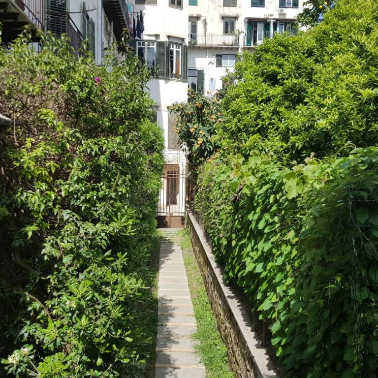Nel Giardino degli Agrumi - Monolocale - 3
