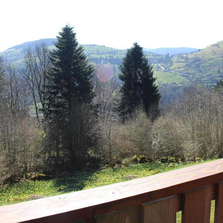 Chalet Les Bouleaux, la montagne des lamas - Chalet con 3 Camere da Letto - 5