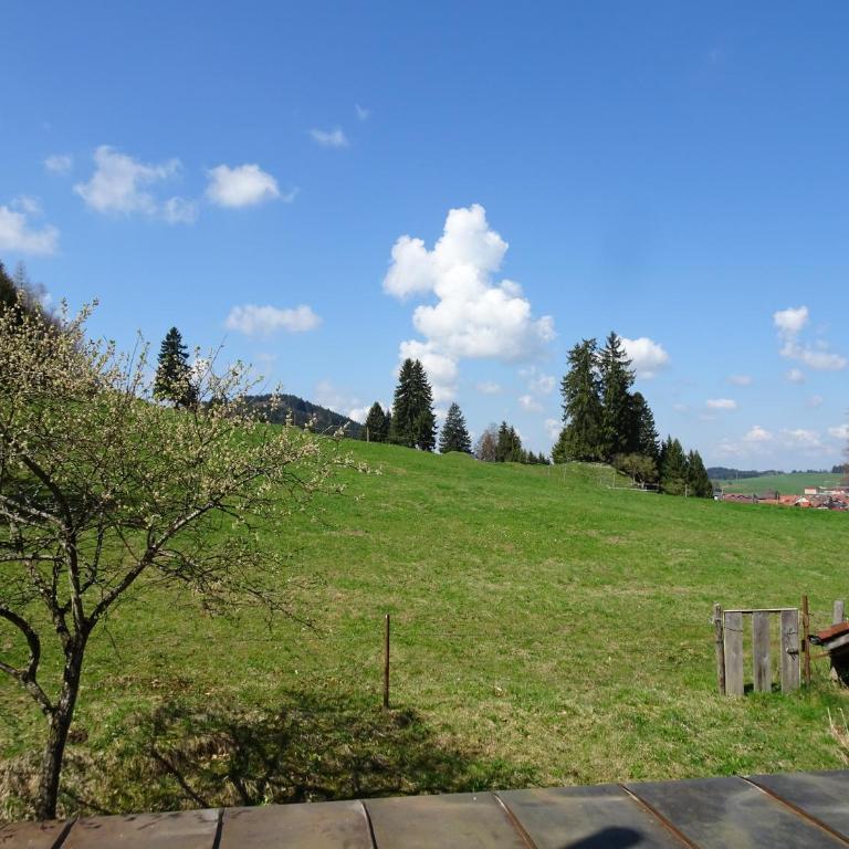 Villa im Wald - Apartment mit 1 Schlafzimmer - 10