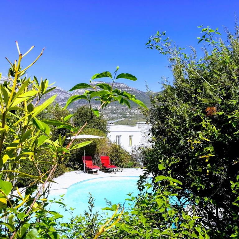 Villa Nice Côte d'Azur piscine privée rez de chaussée - Maison de Vacances - 5