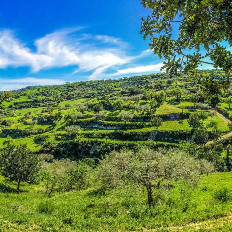 A 50 passi dal Tempio di Apollo - Appartamento - 39