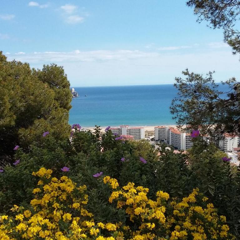 Mediterrania 98 - Casa Vacanze - 39