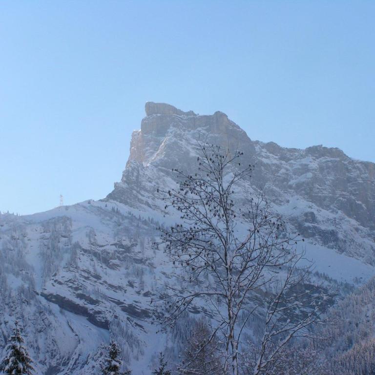 Chalet Narcisse - Chalet (10 Adultes) - 28