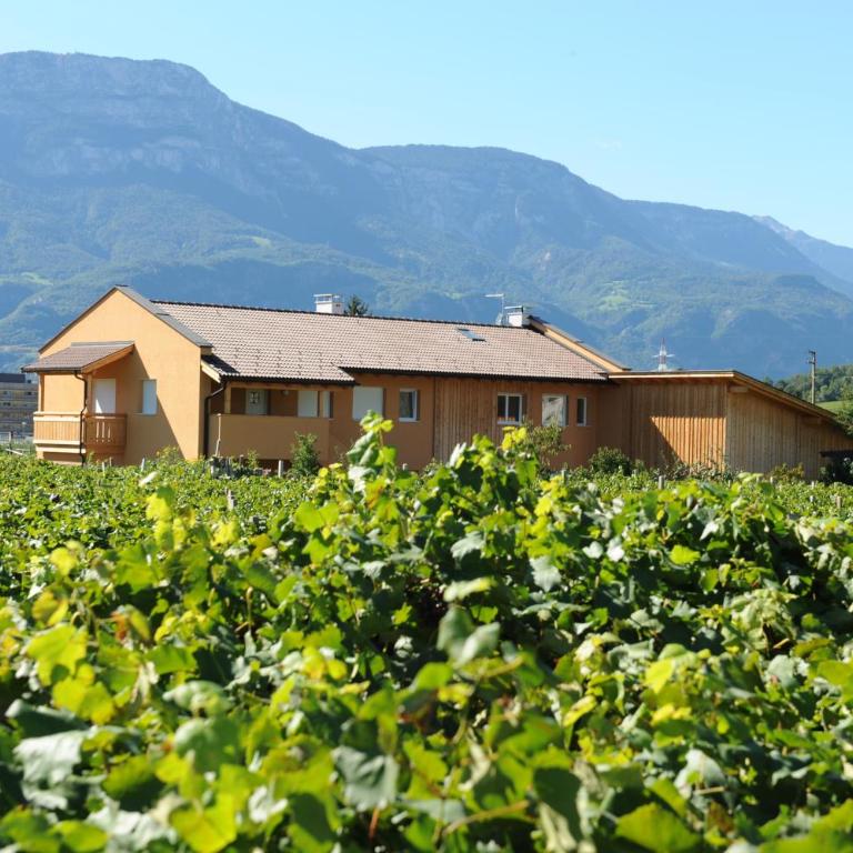 Urbanhof Prantenberger - Appartamento con 1 Camera da Letto (2 Adulti) - 46