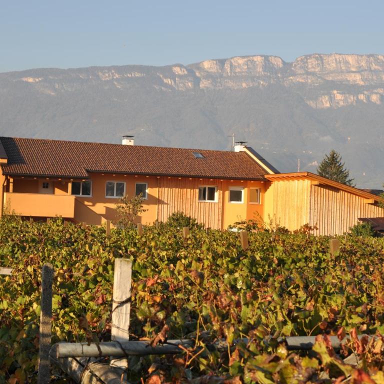 Urbanhof Prantenberger - Appartamento con 1 Camera da Letto (2 Adulti) - 52