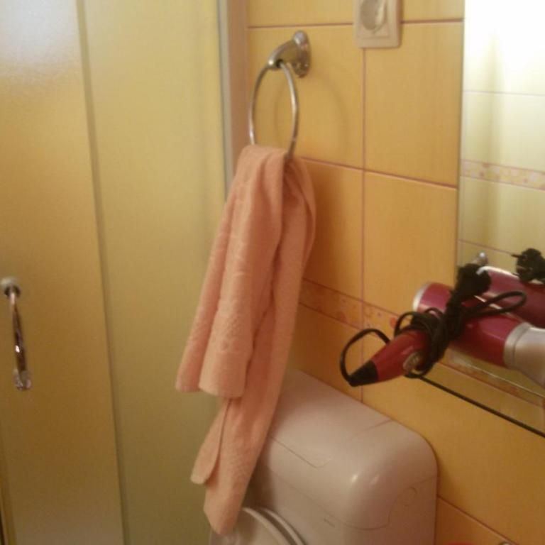 Guesthouse Djacic - Dvokrevetna Soba sa Zasebnim Krevetima i Balkonom - 17