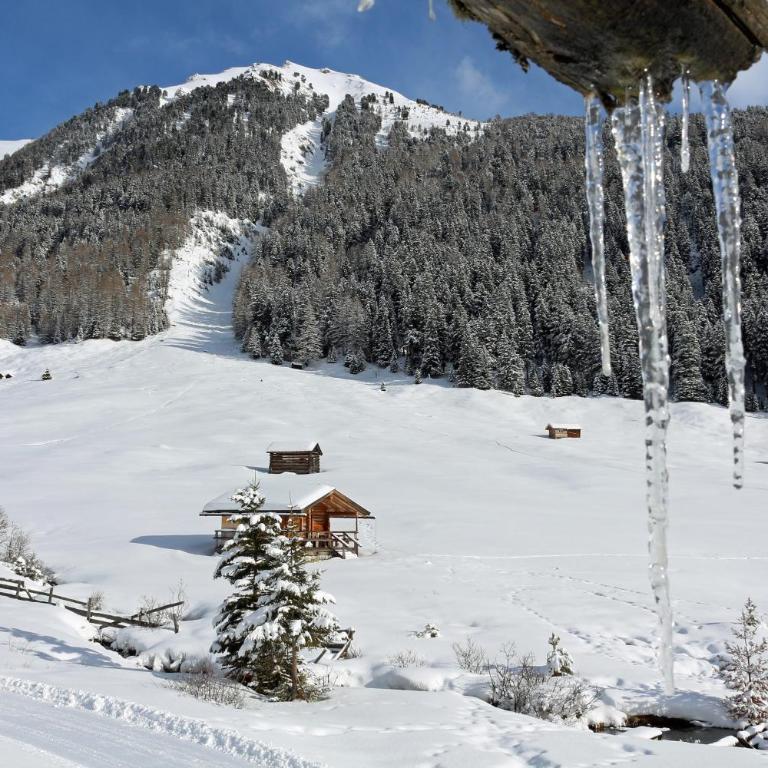 Haus Edelweiss Alpine Chalet near Samnaun - Ferienhaus - 37