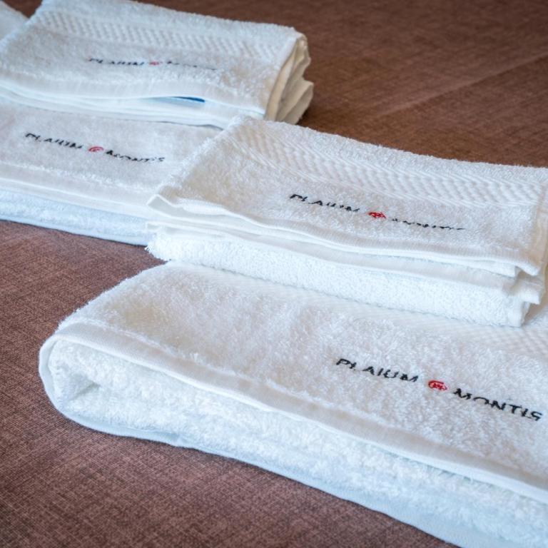 Plaium Montis - Junior Suite Familiare - 5