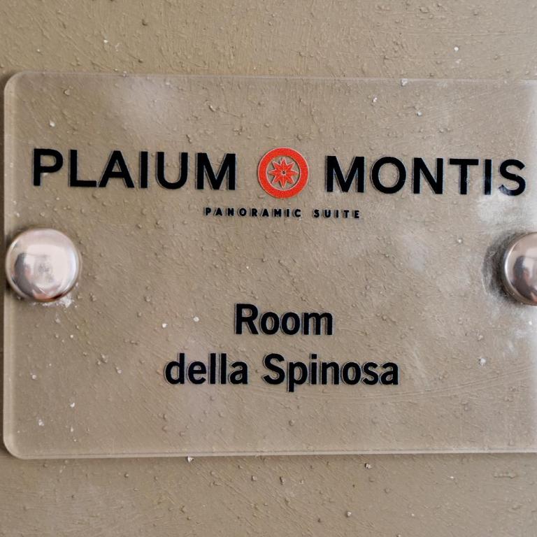 Plaium Montis - Junior Suite Familiare - 29