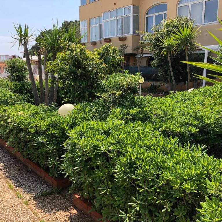 Ashur apartments - Maison de Vacances - 53