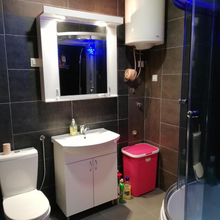 Shumice Apartment - Apartman sa 2 Spavaće Sobe - 22