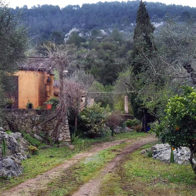 Agroturismo Can Guillo - Villa con piscina privada - 6