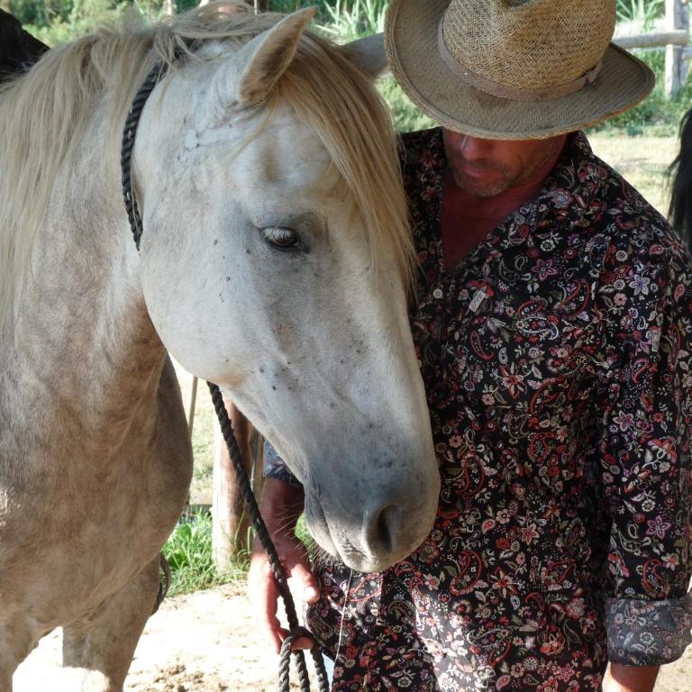 Bergerie d'Alivon en Camargue - Deux Chambres Communicantes - 6