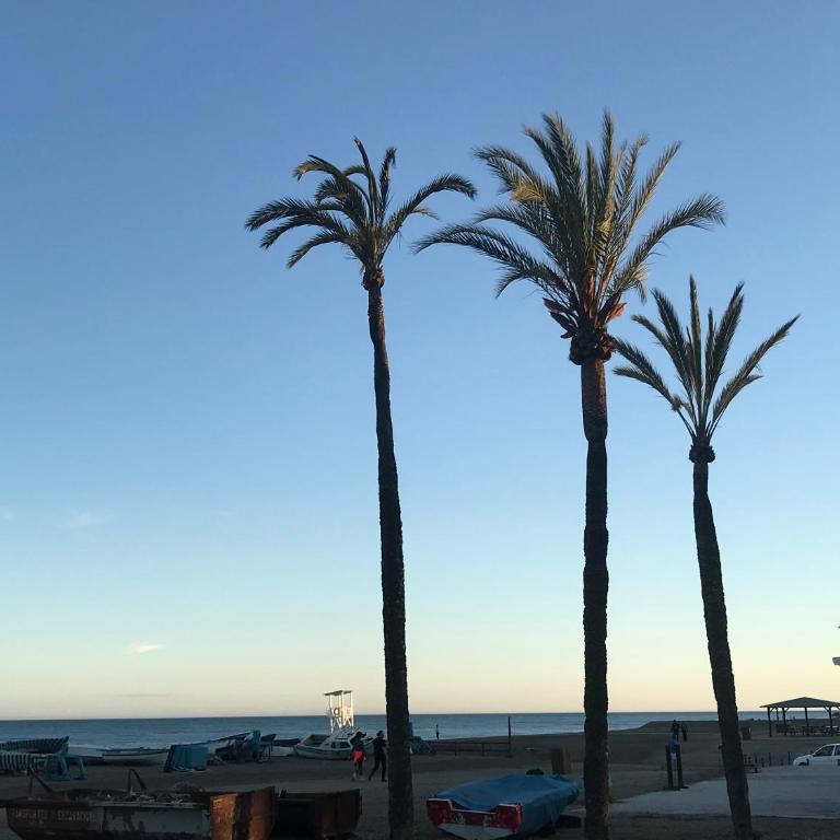 Vella Rosa 2 - Two-Bedroom Apartment - 20