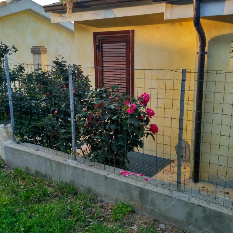Casa Solaria Villetta singola panoramicissima - Casa con 1 Camera da Letto - 22