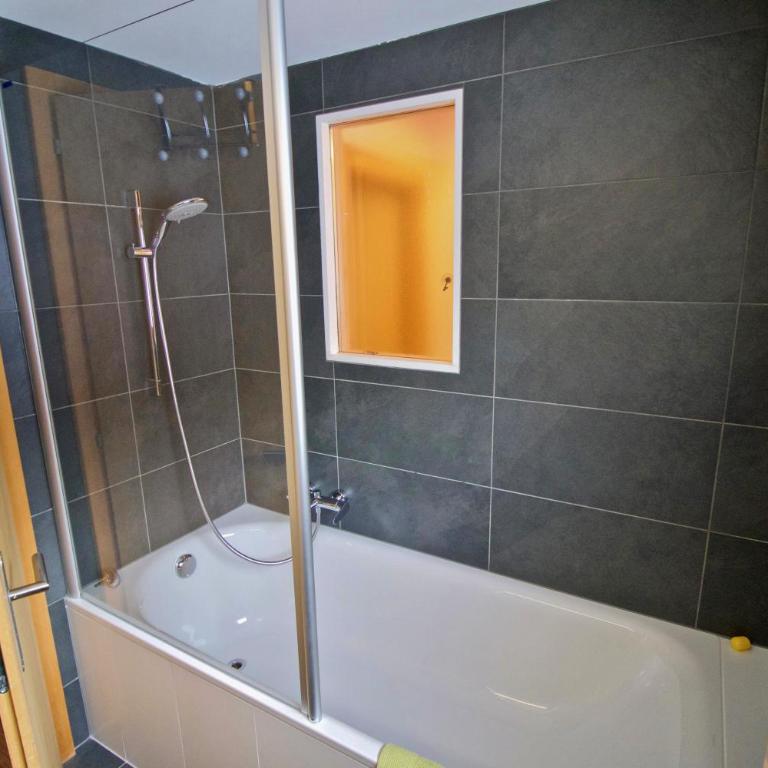 Appartement sous les combles - Chalet La Biolle - Vercorin - Apartment - 28