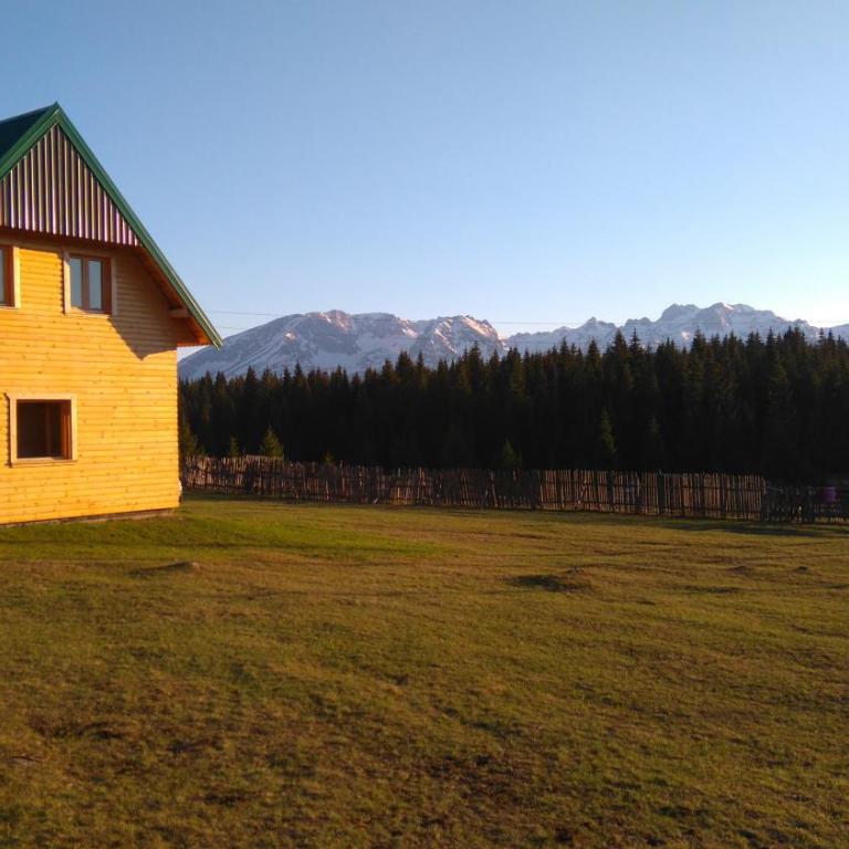 Eco house - Villa - 8