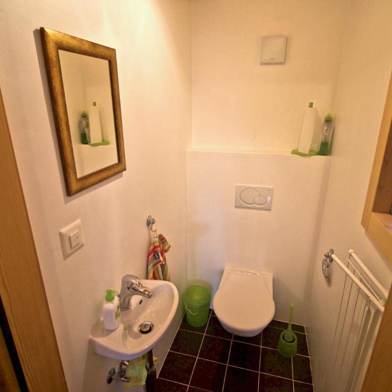 Appartement sous les combles - Chalet La Biolle - Vercorin - Apartment - 29