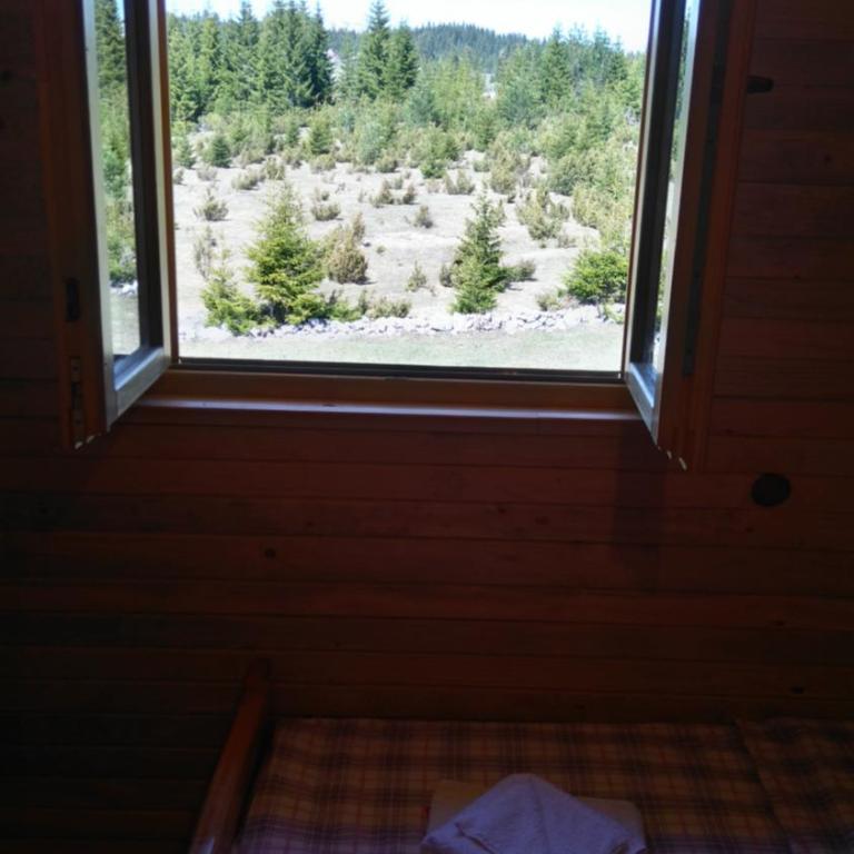 Eco house - Villa - 55