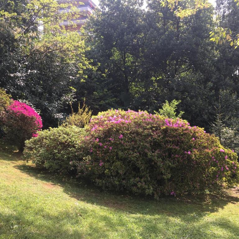 Suite Ananda - Suite con Vista Lago - 4