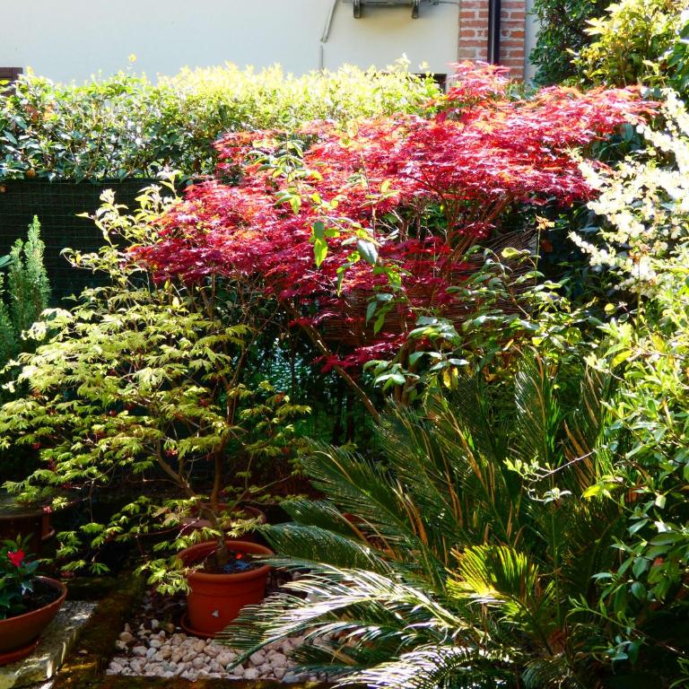 Garden Sweet House Desenzano - Appartamento con 2 Camere da Letto - 28