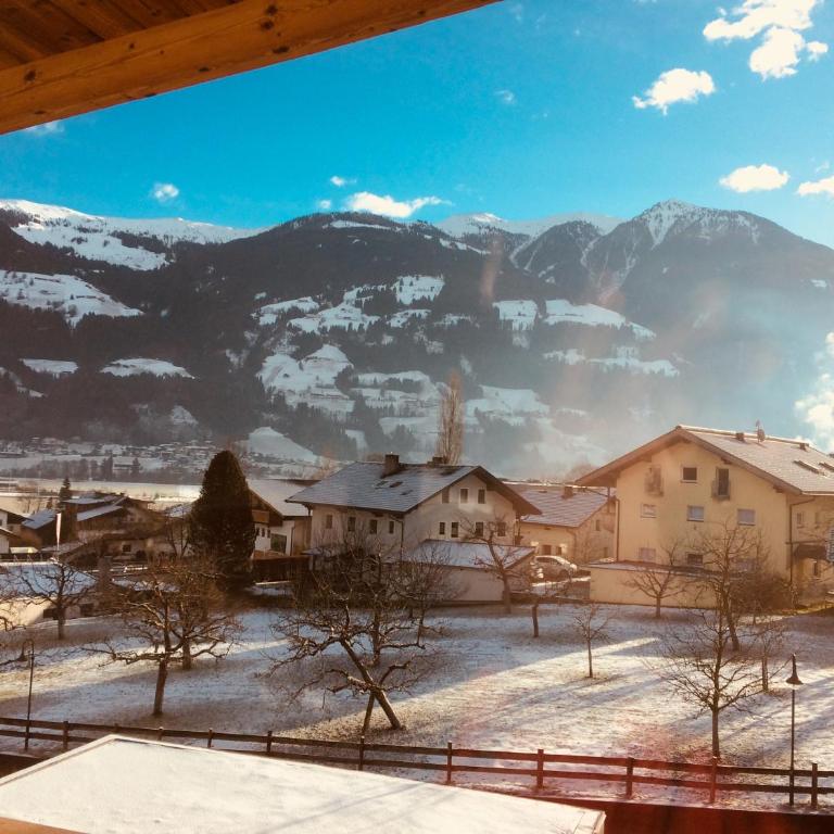 Berghof Zillertal - Appartamento con Vista Montagna - 14
