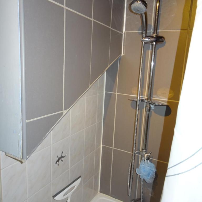 La SALAMANDRE - Appartement - 11