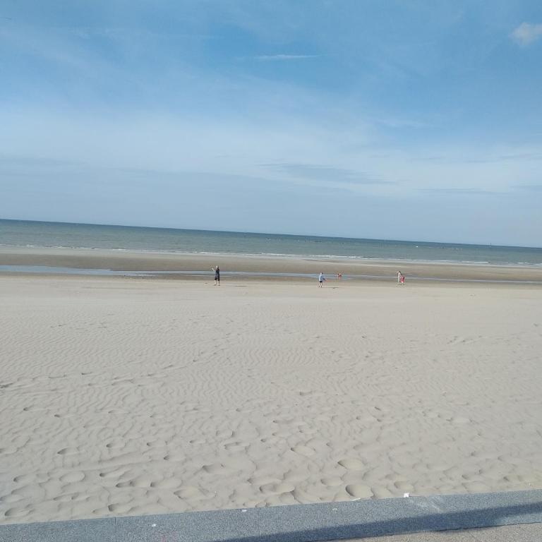 meublé saisonnier plage - Studio - 30