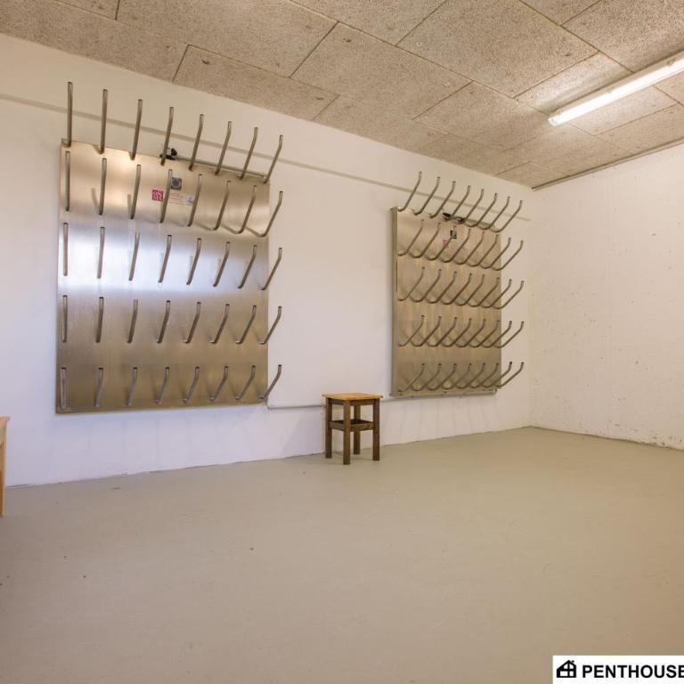 Penthouse am Sonnenhang mit exklusiver Ausstattung - Penthouse-Apartment - 17