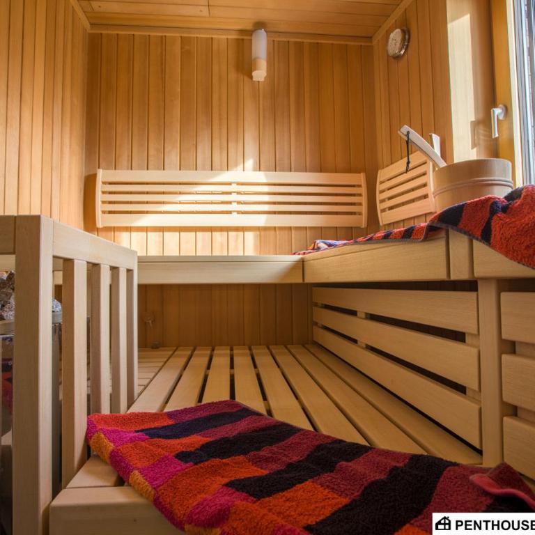 Penthouse am Sonnenhang mit exklusiver Ausstattung - Penthouse-Apartment - 14