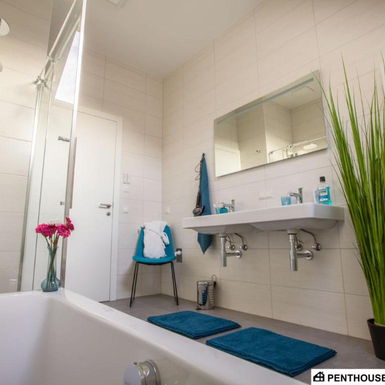 Penthouse am Sonnenhang mit exklusiver Ausstattung - Penthouse-Apartment - 13