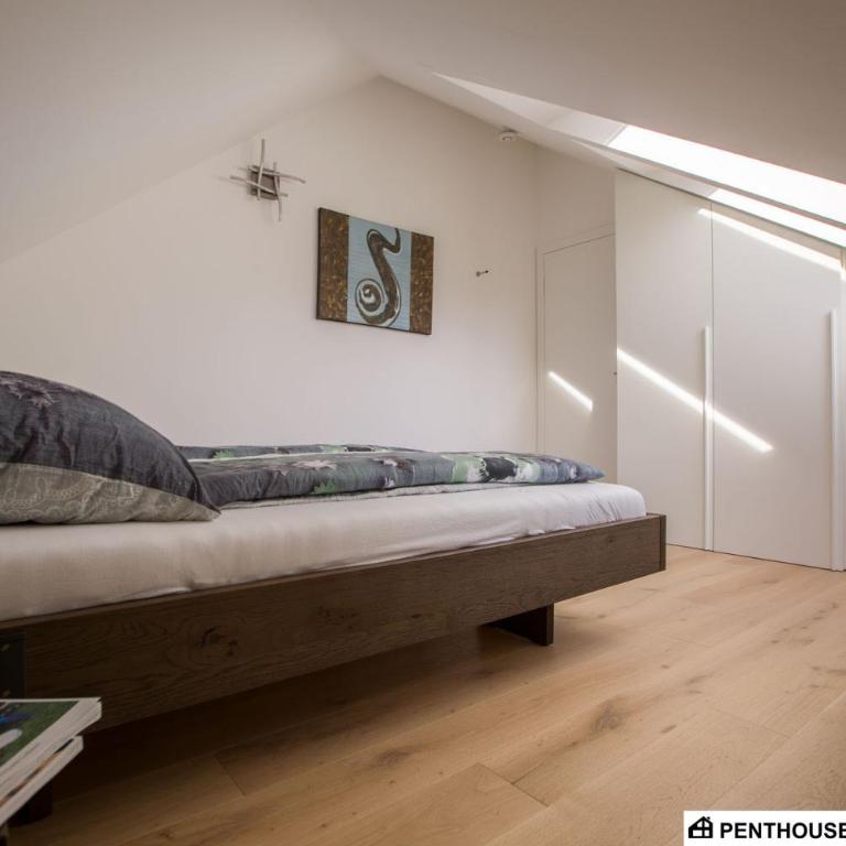 Penthouse am Sonnenhang mit exklusiver Ausstattung - Penthouse-Apartment - 11