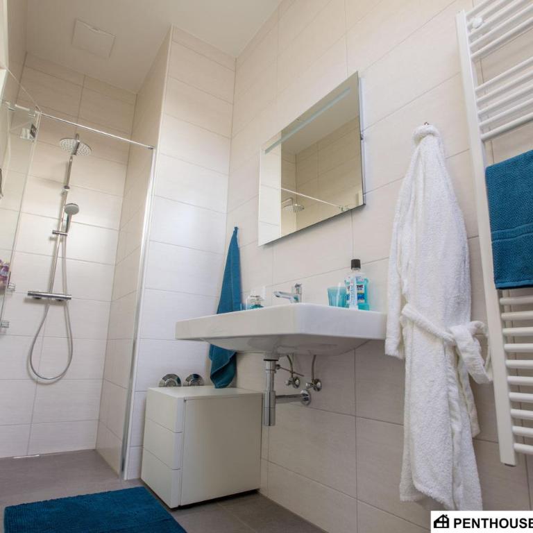 Penthouse am Sonnenhang mit exklusiver Ausstattung - Penthouse-Apartment - 7