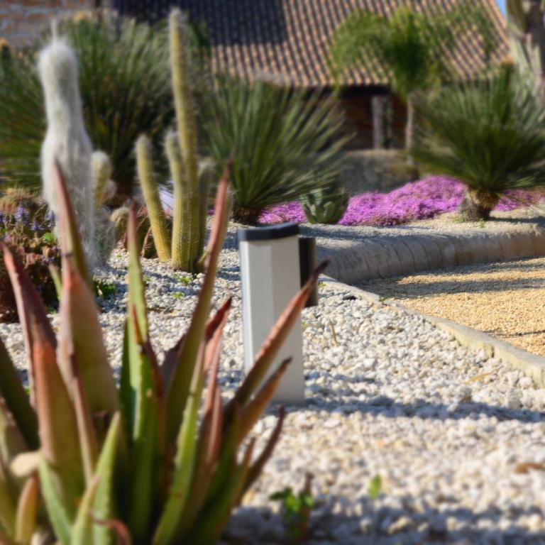 Mythos Holidays & Events - Casa Vacanze - 38