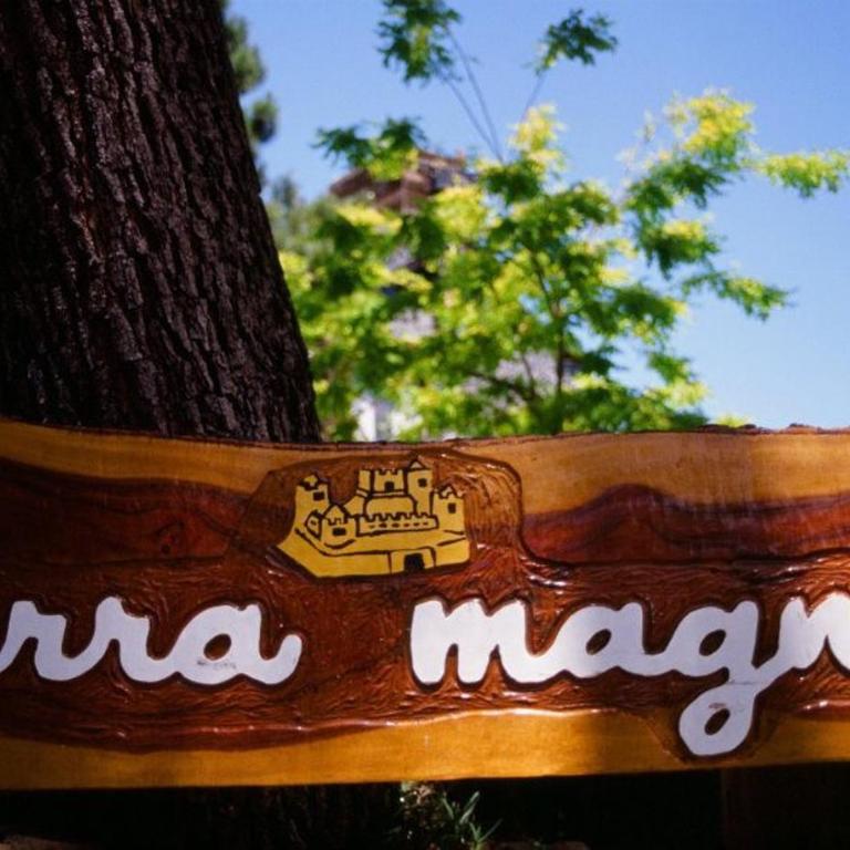 Terra Magna - Apartamento de 1 dormitorio - 3